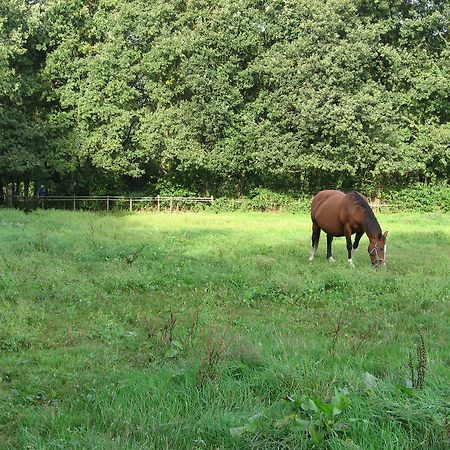 Rustpunt Groote Heide Bed & Breakfast Heeze Екстериор снимка